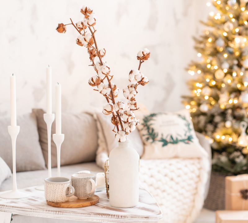 Home, for the Holidays!