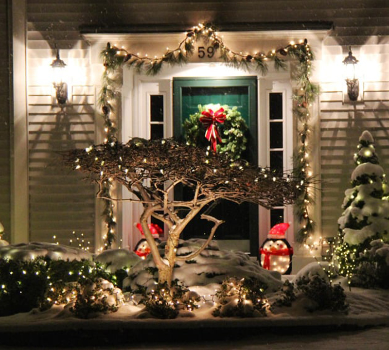 Home, for the Holidays!